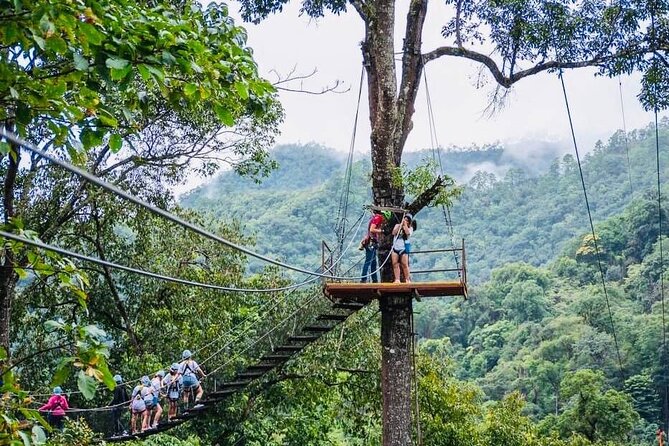 Kingkong Smile Zipline Adventure Tour From Chiang Mai - Logistics That Matter: Pickup, Small Groups, and Your Real-Time Comfort