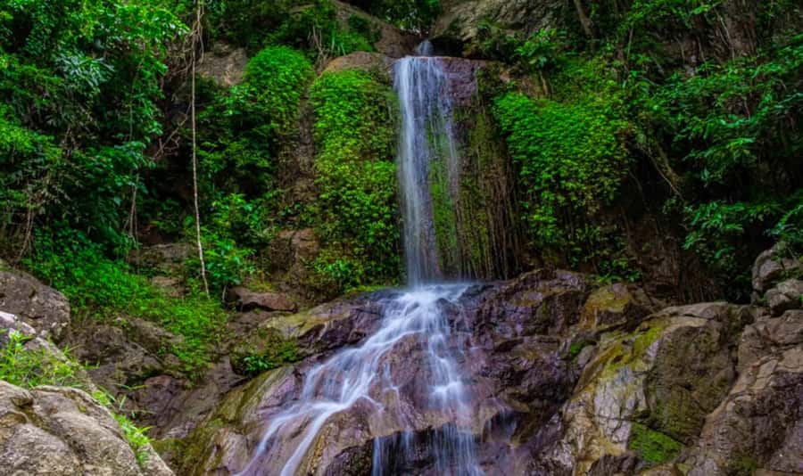 Ko Samui: Tree Bridge Jungle Zipline and Waterfall Adventure - From Hotel Pickup to Tree Bridge Cafe: The Start That Sets You Up