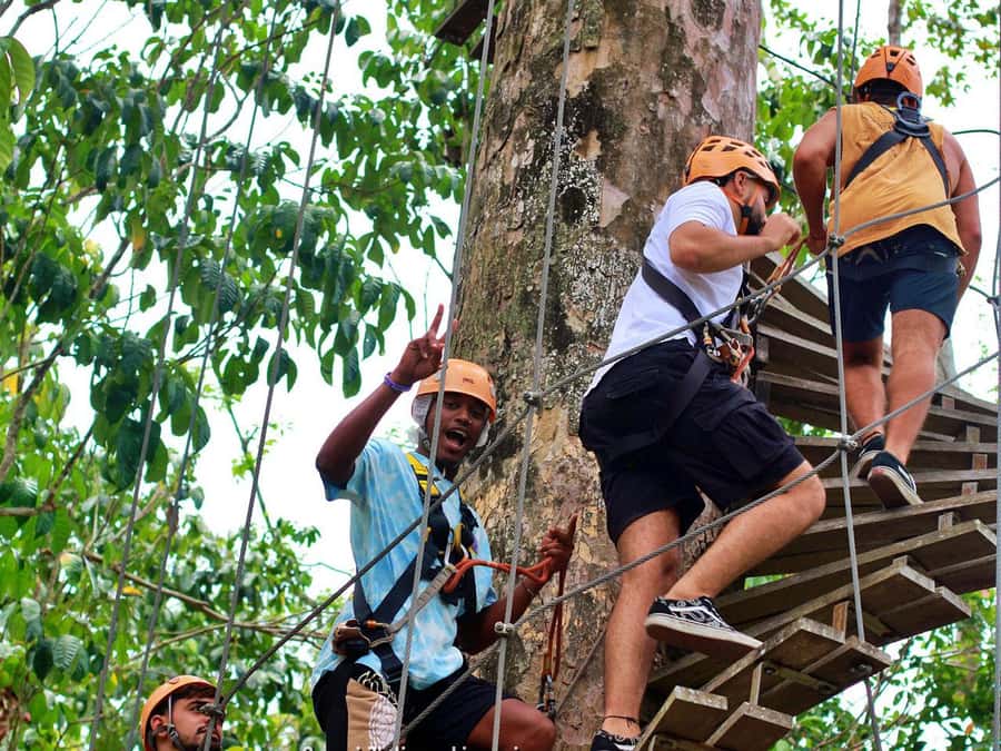 Koh Samui: Panoramic Zipline Experience at Samui Zipline - Price and value: why this one can feel fair at $68