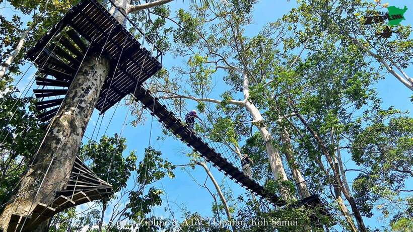 Koh Samui: Samui Zipline Adventure with Transfer service - Who this is best for (and who should skip it)