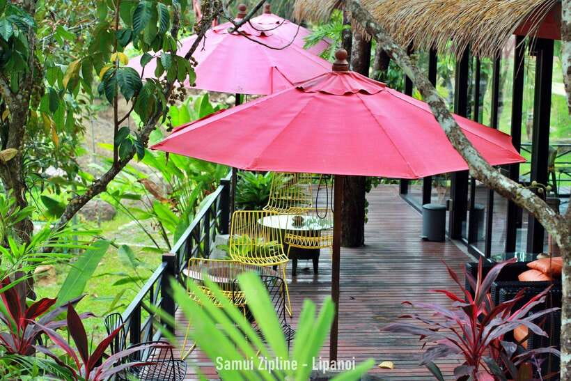 Koh Samui: Samui Zipline Adventure with Transfer service - Should you book the Koh Samui zipline adventure?