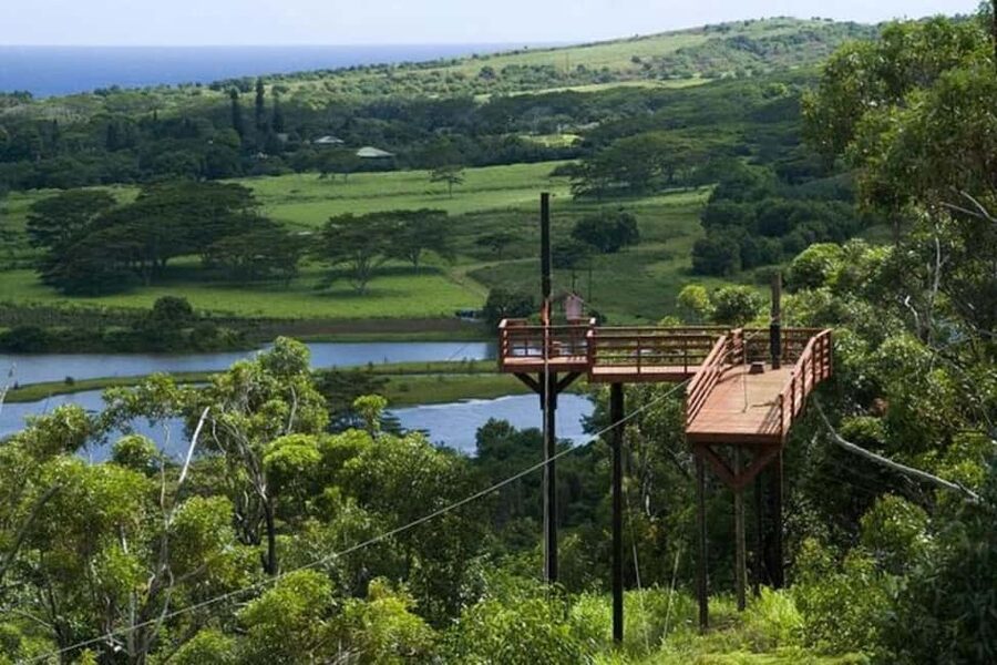 Koloa: Kauai’s Longest 8-Line Zipline Tour - Key Things That Make Koloa Zipline Worth Your Time
