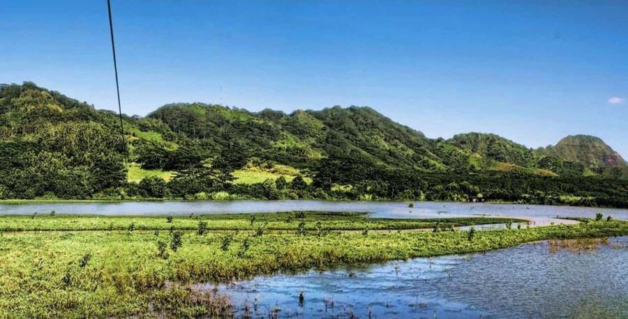 Koloa: Kauai’s Longest 8-Line Zipline Tour - Price and Value: What $169 Buys You in Real Terms