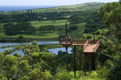 Koloa Zipline in Kauai - Old Kaloa Sugar Mill Stop: A Quick Change of Pace Before You Fly