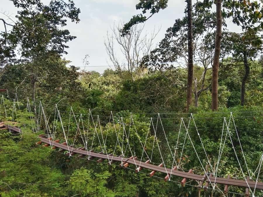 Krabi Zipline adventure - Key highlights that make this Krabi zipline day worth it