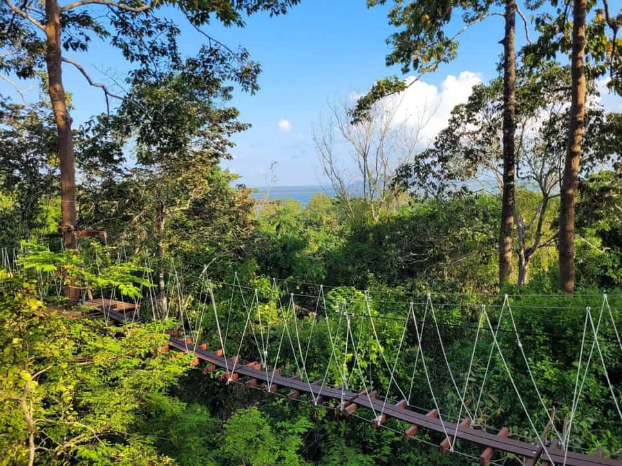 Krabi Zipline adventure - Who should book this Krabi zipline day—and who might want to skip it