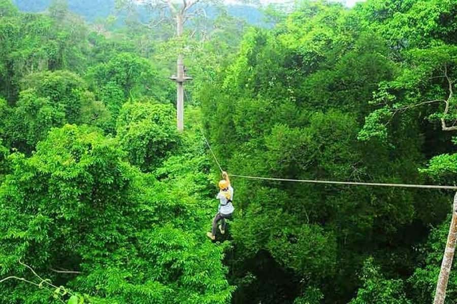 Krabi Zipline adventure - Should you book this Krabi Zipline Adventure in Krabi?