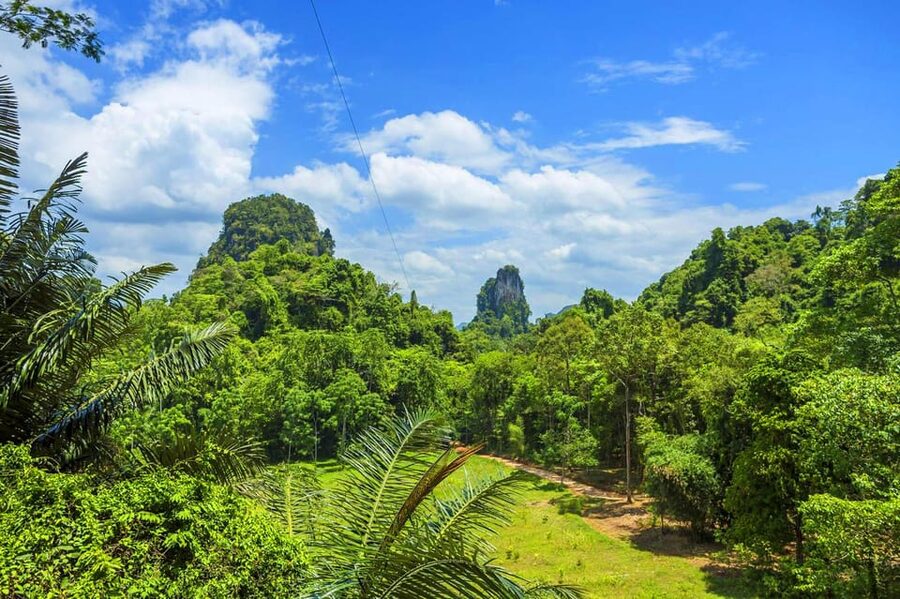 Krabi: Zipline, ATV & Top Rope Climbing Experience - A Bird’s-Eye Krabi: what the zipline routes really deliver