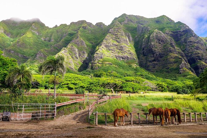 Kualoa Ranch - Zipline Tour - Key highlights you’ll feel right away