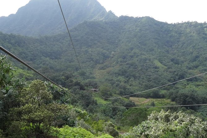 Kualoa Ranch - Zipline Tour - Guide energy and group size: why you’ll likely feel safe fast