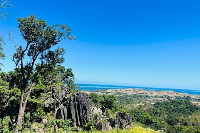 Largest Zipline in South Pacific & Cave Exploration in Nadi - Caves, Vesi Trees, and 3 Ecosystems on One Day
