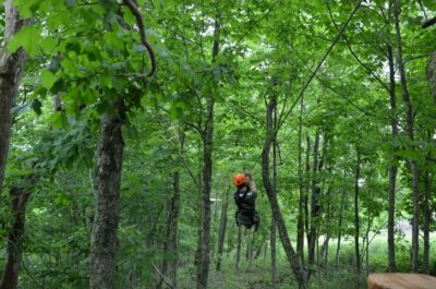 Lexington: Fully Guided Zipline Canopy Tour - The 2.5-Hour Course Experience: From Low Practice to Gorge Crossing