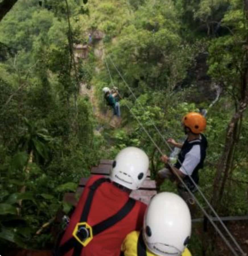 Magoebaskloof Adventures: 2H Canopy Tour - Food on the day: refreshments plus a light meal