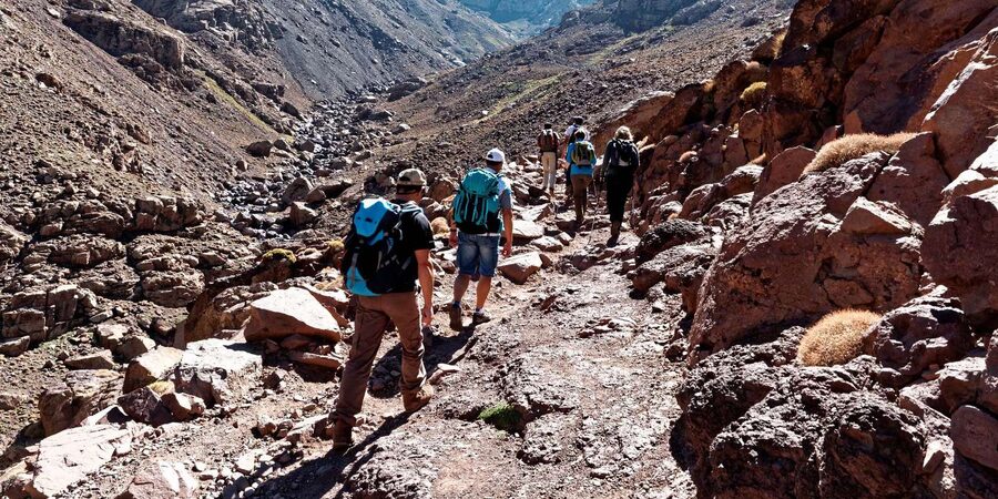 Marrakech: Atlas Mountains Zipline Adventure & Breakfast - Practical Stuff: What to Bring and What to Expect After