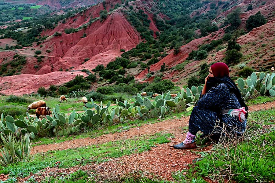 Marrakech: Zipline and Breakfast in the Atlas Mountains - Safety and Staff: Why You’ll Probably Trust This Part