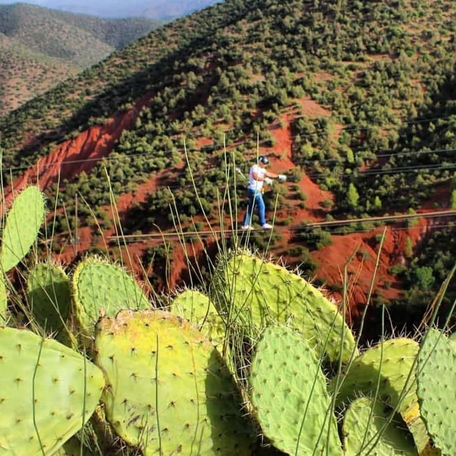 Marrakech: Zipline and Breakfast in the Atlas Mountains - Value Check: Does It Match the $81 Price?