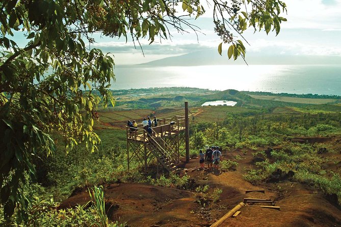 Maui 8 line Zipline Adventure: Soar above valleys & Island views - Key highlights worth planning for