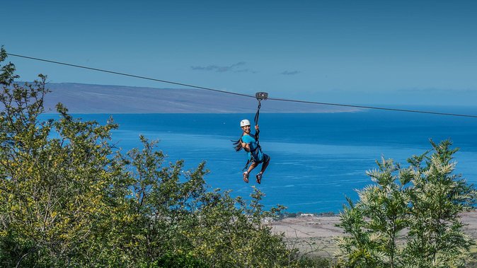 Maui 8 line Zipline Adventure: Soar above valleys & Island views - Guides as instructors: history, geology, and wildlife you’ll actually remember