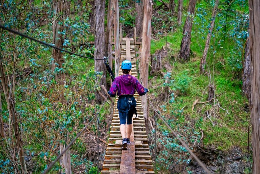 Maui: Haleakala 6-Line Zipline Adventure - Weather and day-of details that affect your comfort