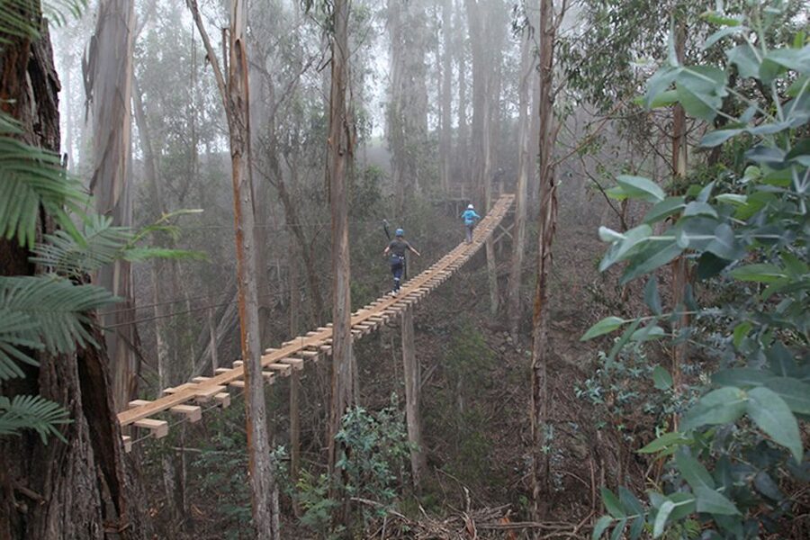 Maui: Haleakala 6-Line Zipline Adventure - Gear up: what to bring (and what to wear) at elevation
