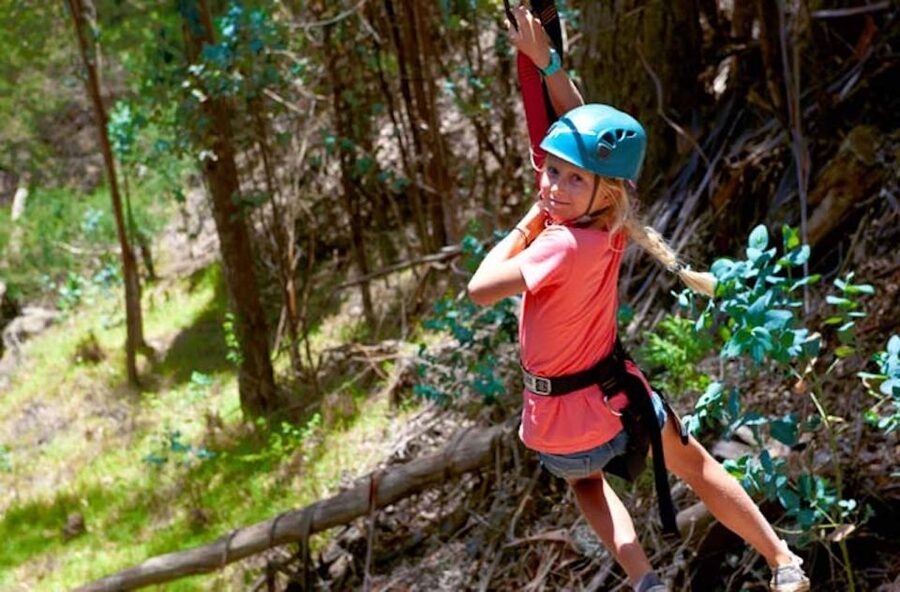 Maui: Haleakala 6-Line Zipline Adventure - The eucalyptus swinging bridge: first-time nerves meet real coaching