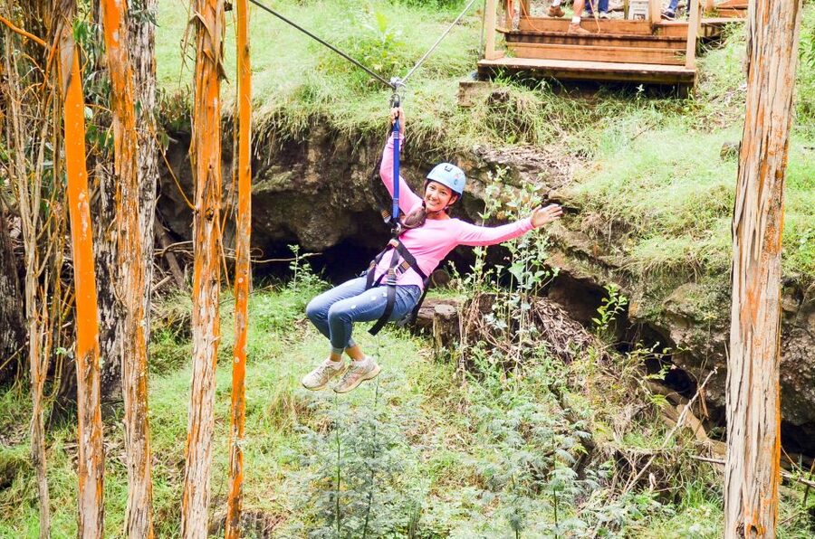 Maui: Haleakala 6-Line Zipline Adventure - Price and value: is $147 a good deal?