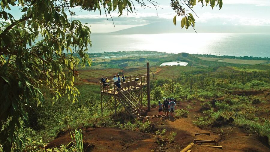 Maui: Ka'anapali 8 Line Zipline Adventure - Key Things You’ll Notice