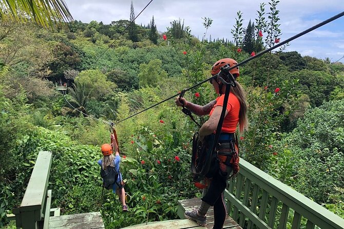 Maui Zipline Eco Adventure: 8 Lines through the Jungle - Key things I’d circle before you go