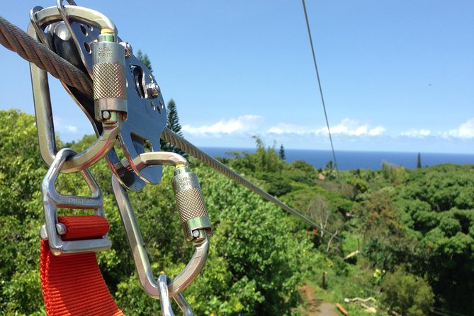 Maui Zipline Eco Adventure: 8 Lines through the Jungle - Haiku’s Jungle Zipline Maui: how the day really starts