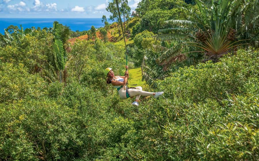 Mauritius: Vallé Advenature Park - Adventure Tour Zipline - Views you’ll catch over southern Mauritius and the mountains