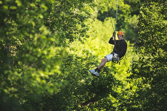 Minnesota River Valley 14-Line Thrilling Zipline Canopy Tour - Who this tour fits best (and who should reconsider)
