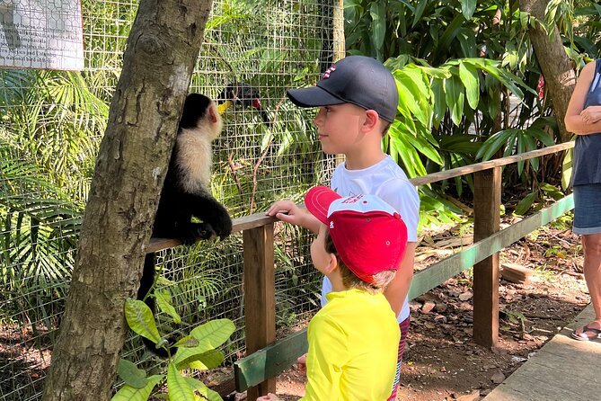 Monkey/Sloth Park + Zipline And City Tour In Roatan - Key highlights to look forward to