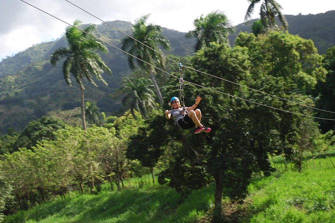 Monkeyland and Zipline Adventure from Puerto Plata - Who Should Book This (And Who Should Skip It)