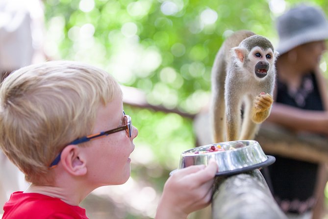 Monkeyland and Zipline Adventure from Puerto Plata - Zipping Through the Choco Region: 7 Lines and 2 Bridges