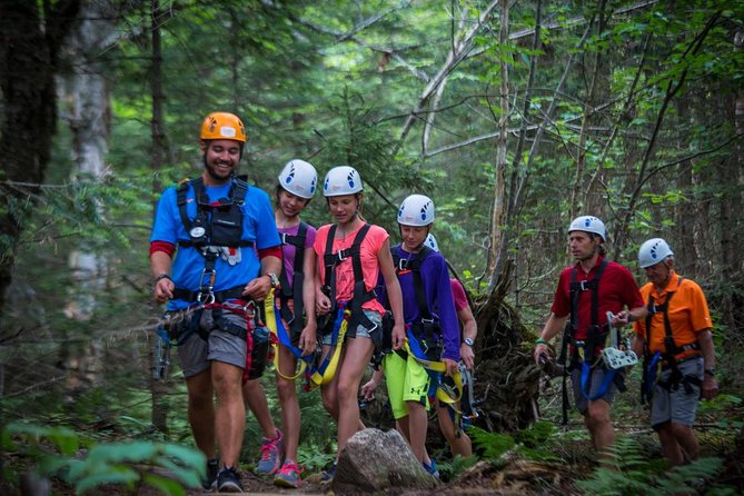 Mont Tremblant Guided Zipline Tour - Guides make or break it: what the best groups get right