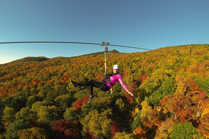 Mont Tremblant Guided Zipline Tour - Gear-up and safety briefing: harnesses, helmets, and steady coaching