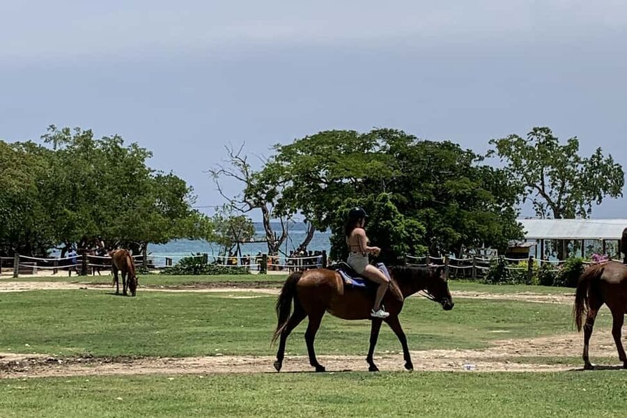 Montego Bay: Day Trip with Zipline, ATV, and Horseback Ride - A 5-Hour Montego Bay Mix: How It Really Plays