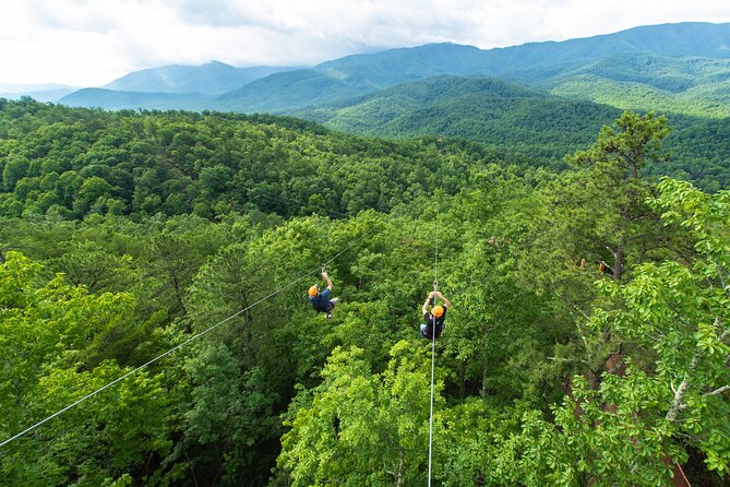 Mountaintop Zipline 2-Hours Activity - Sky bridges and the rappel: where the fear becomes fun