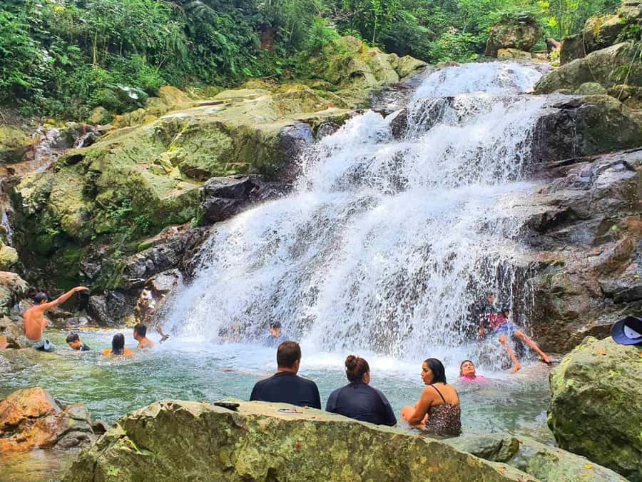 Nadi: Zipline, Waterfalls, and Jungle Safari Tour with Lunch - Key highlights at a glance