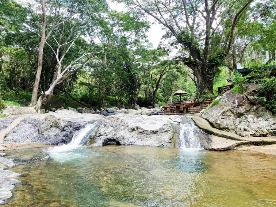 Nadi: Zipline, Waterfalls, and Jungle Safari Tour with Lunch - The deli lunch by the river: fueling without fuss