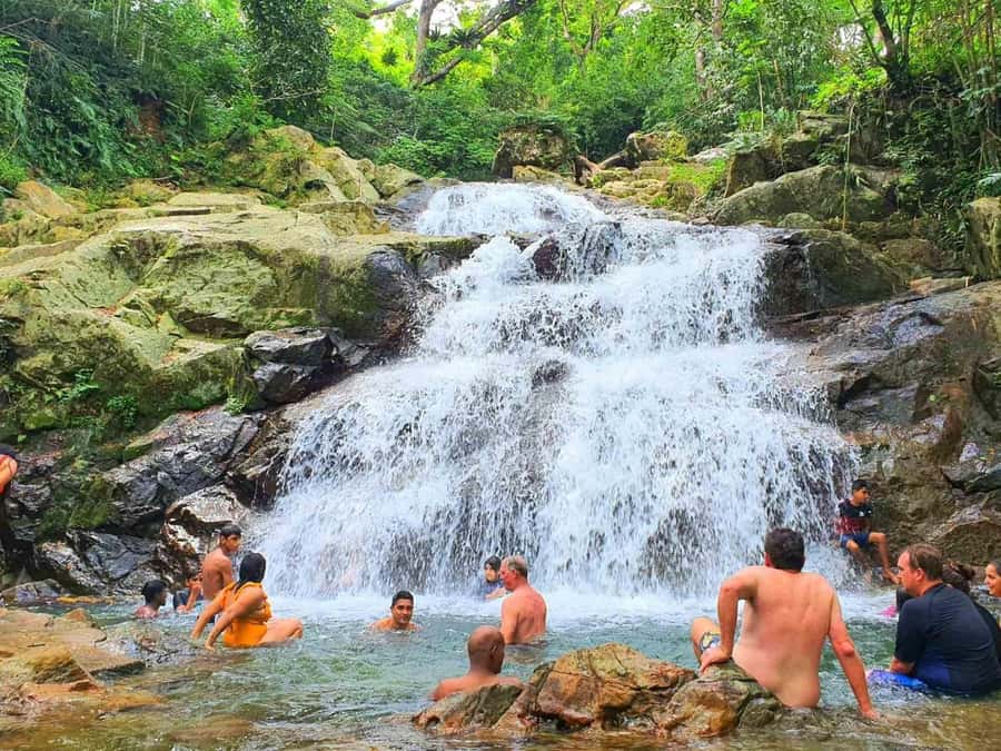 Nadi: Zipline, Waterfalls, and Jungle Safari Tour with Lunch - Guided jungle safari walk to two waterfalls