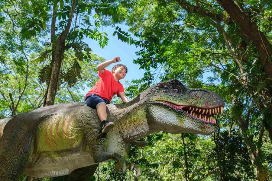 Nadi: Zipline, Waterfalls, and Jungle Safari Tour with Lunch - Who should book this tour (and who should skip it)