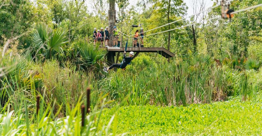 New Orleans: Swamp Zipline Tour - First Ride Impressions: Frenier, Lake Ponchartrain, and Why This Tour Works