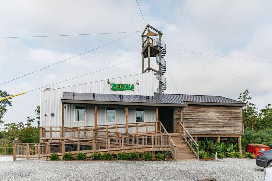 New Orleans: Swamp Zipline Tour - The 60-Foot Start Platform: Views That Make the Nervousness Worth It