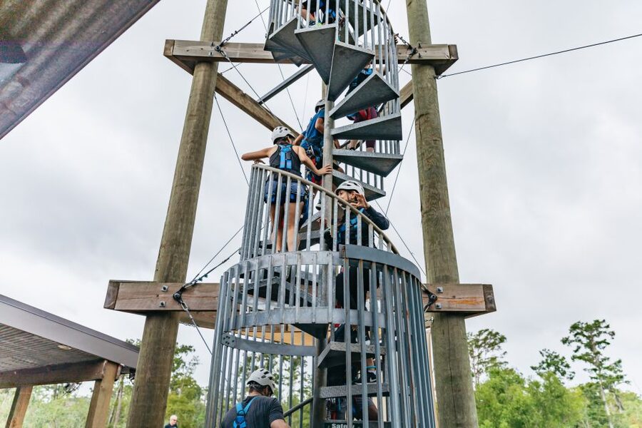 New Orleans: Swamp Zipline Tour - The Spiral Cypress Staircase: The Part That Can Catch You Off Guard