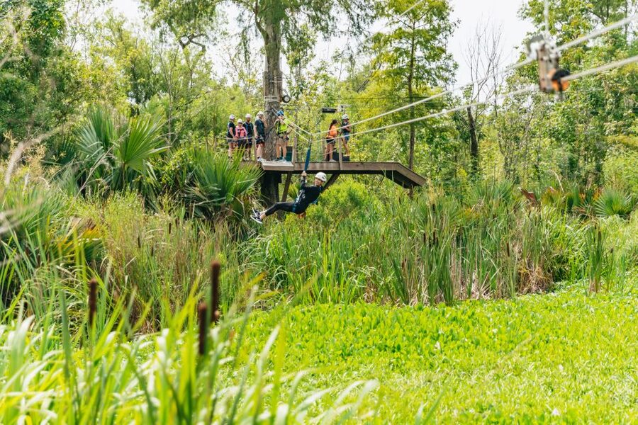 New Orleans: Swamp Zipline Tour - How the Guides Change the Experience: Support, Tricks, and Calm