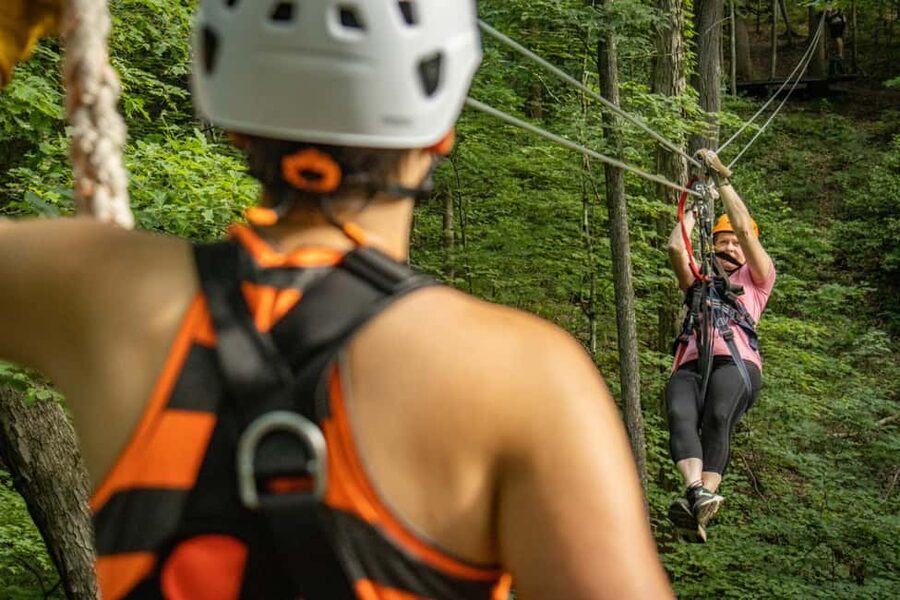 New River Gorge: TreeTops Zipline Tour - Where You Go and Why This Tour Feels Special
