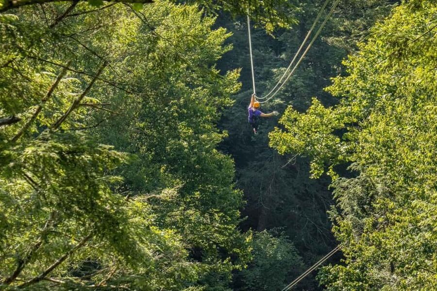 New River Gorge: TreeTops Zipline Tour - The First Ziplines: Building Confidence Over Oak, Maple, and Birch