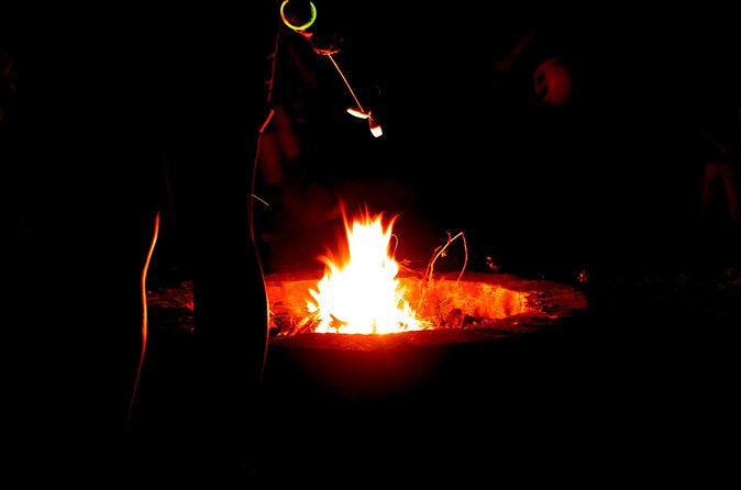 Night Zipline: 3 Zipline Adrenaline Adventure - What to Bring and Watch For: Shoes, Weight, Weather, and Timing
