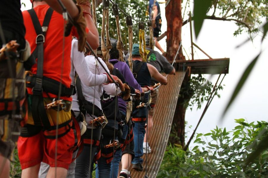 North Maui: 7 Line Zipline Adventure with Ocean Views - Who This Zipline Tour Fits Best (and Who Should Skip)